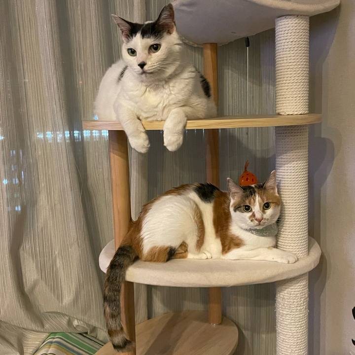 94a7b080 133b 4593 a6b1 43ac9b25a209 1664288762549