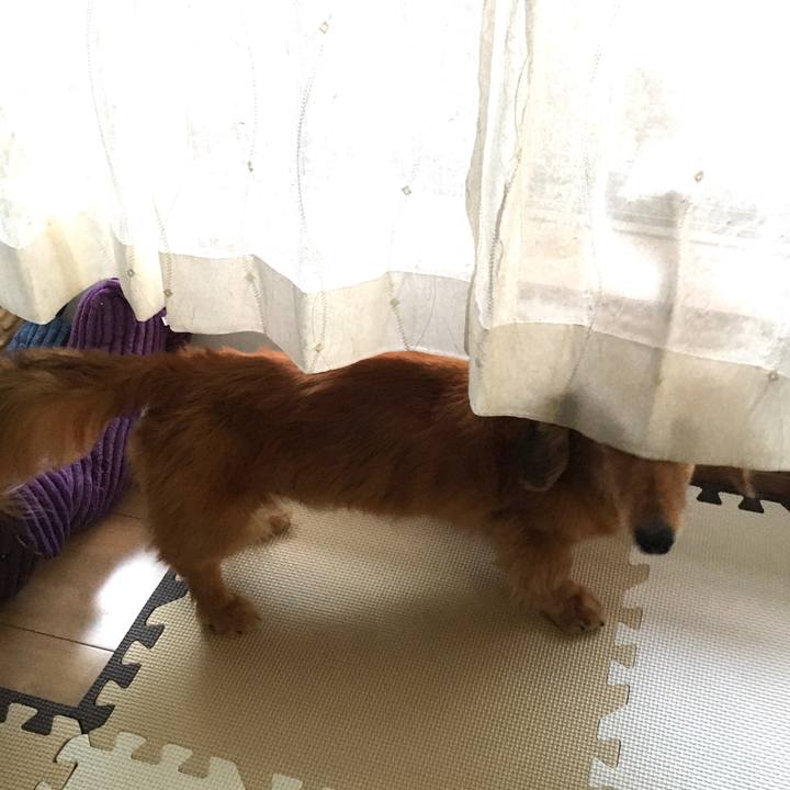 94a7ce10 7fea 47c9 92f6 72d2cf6f0dec 1624802455999