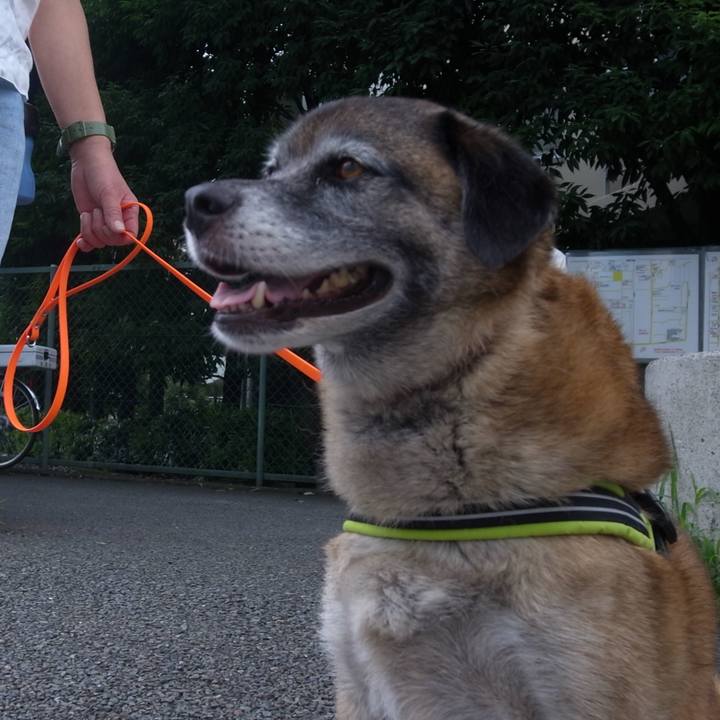 94a7df42 f384 45cf ad68 d2f1004048a6 1587947485661