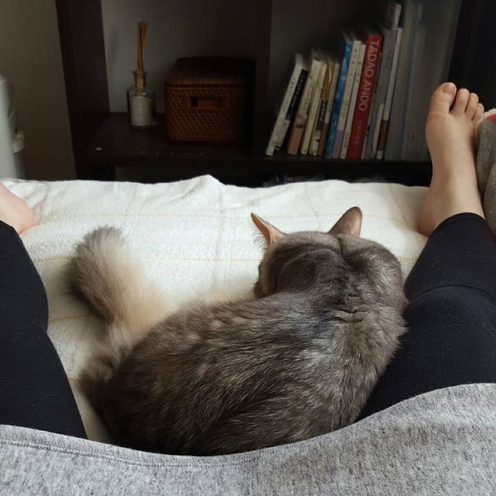 94a80fb6 289c 4cd0 a306 1488a6e0b8db 1532839939811