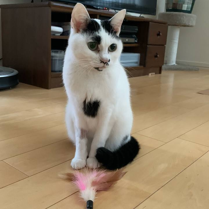 94a83912 ad4b 4dcc af55 30f2131168e0 1695330272425