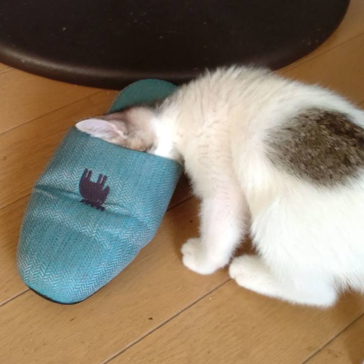 94a84451 98c8 4e66 9270 7d1829650d6f 1632746047383