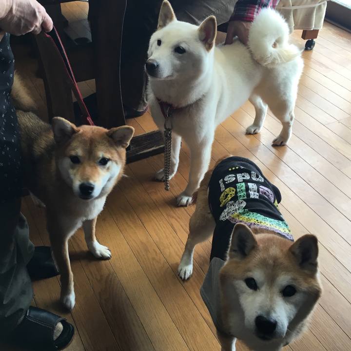 94a85a73 c362 4ff2 ade2 bdae0ca0c79c 1533199206004