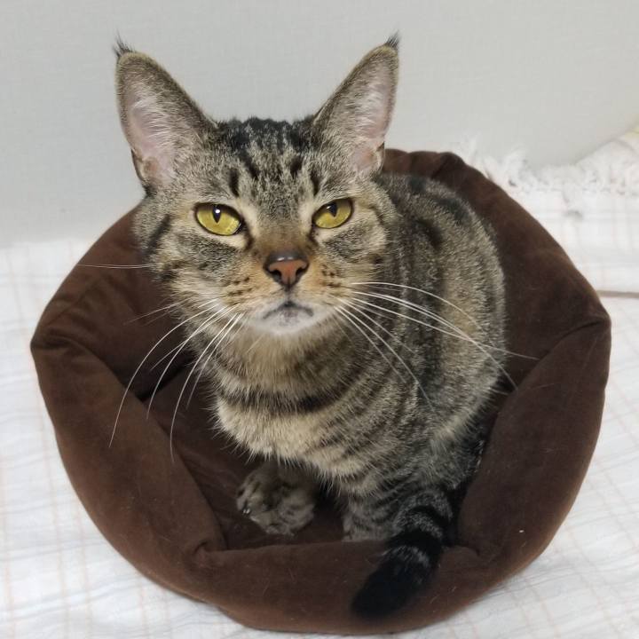 94a86909 6285 4599 9e52 e29a9a81a39d 1575604461561