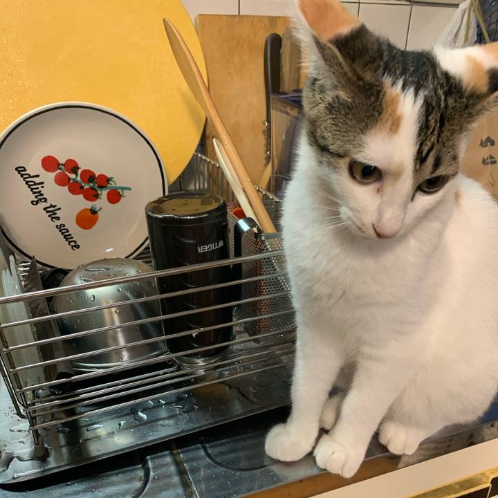 94a89c71 dd19 4b9e aadc 8e4ac235ee5c 1599989827707