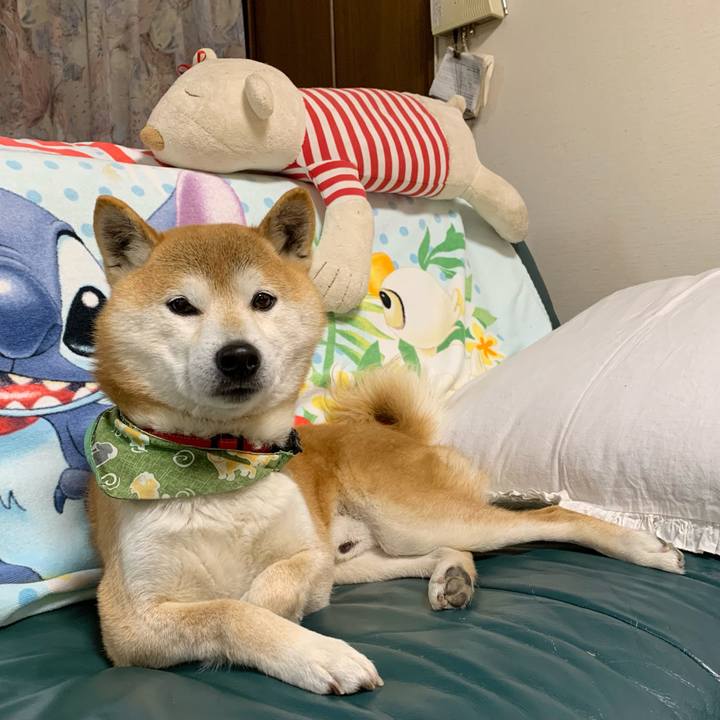 94a8e6b6 7b0f 4799 a1bf a36658847903 1613125035707