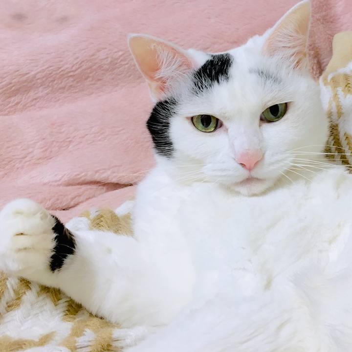 94a8f9e8 42bb 43b6 ad49 e9379dc039a3 1568380081050