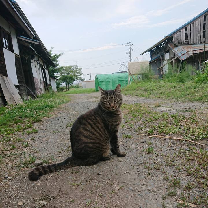 94a8fa22 6fb1 4509 bc6b c960f8880935 1656839309070