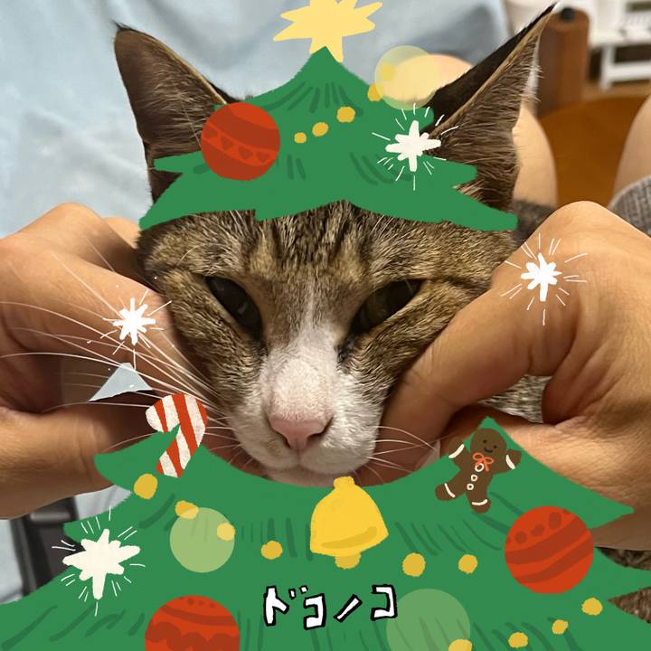 94a90fde ffc5 4c6f 9d9c a9f7acc5c714 1764178306492