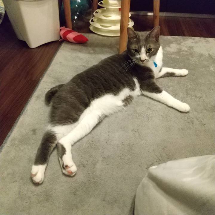 94a9273d 61a3 477f 8ec7 9713b5a4b2c4 1615891572753