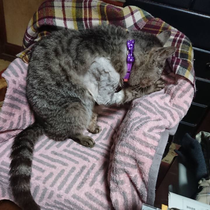 94a97071 129e 4e64 ad5d 8417452fef1e 1590062275186