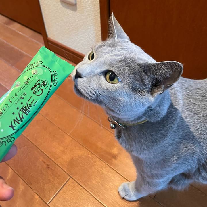 94a984fc a9b6 4ef1 b442 e7f1213060e9 1726147805563