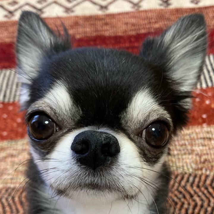 94a9bab2 99db 42f4 ac5d 82983ad7e947 1670714460945