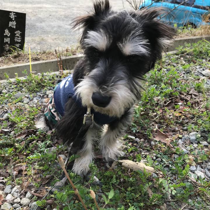 94a9bf72 7c83 43fa 84b9 2e6239ec3059 1553430892333