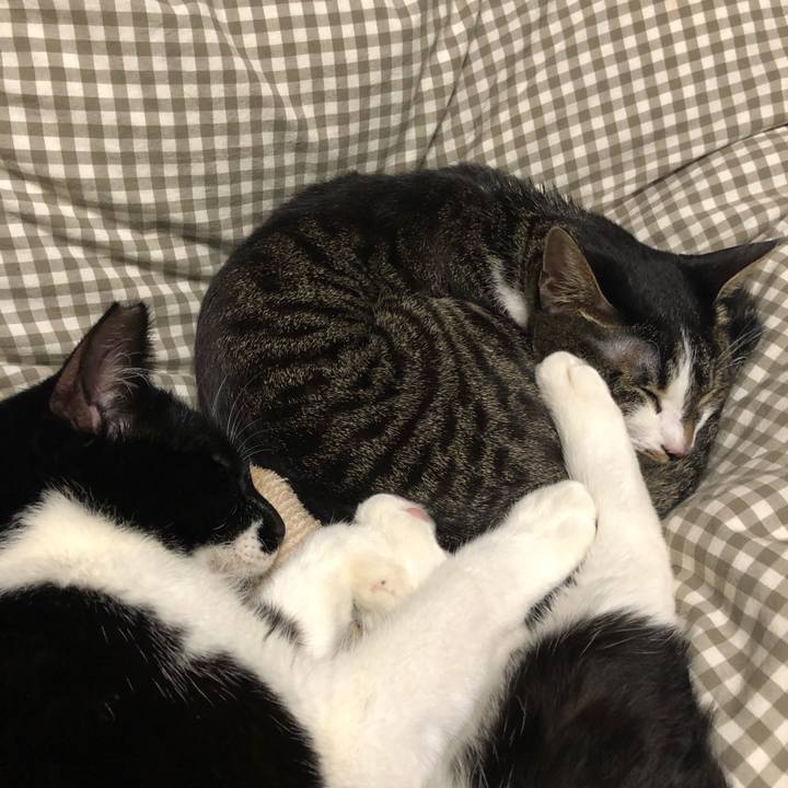 94a9ea15 e3c7 4eb4 a437 5f9a8aa36a00 1543240293858