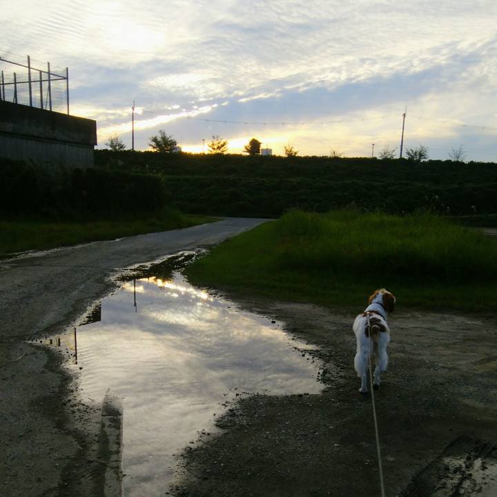 94a9ea6d 1e10 471c 85aa 193527035bbf 1538477752329