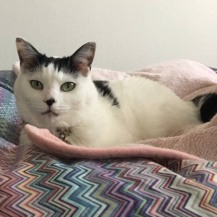 94a9f627 4d56 4965 ad68 c0aa67eb2b44 1517960464301