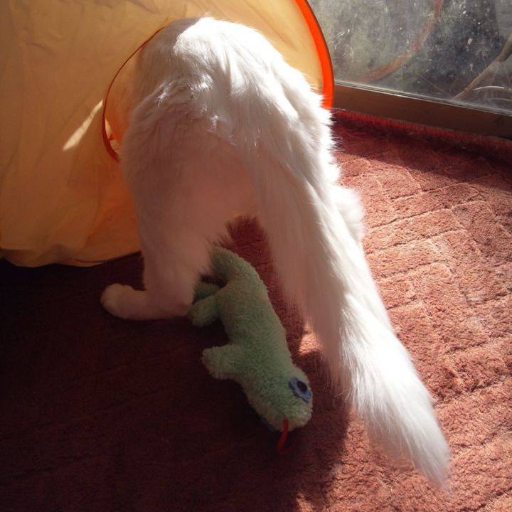 94aa5527 f269 4708 8f23 2cb229e141df 1686518031987