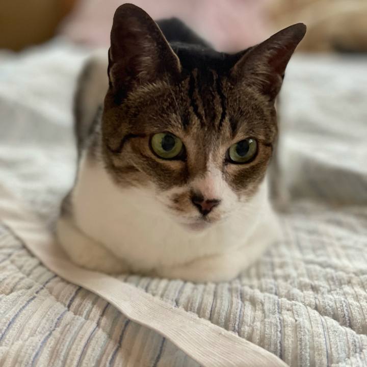 94aa55a8 835e 4f3e 9a71 bfa386952726 1622770305064