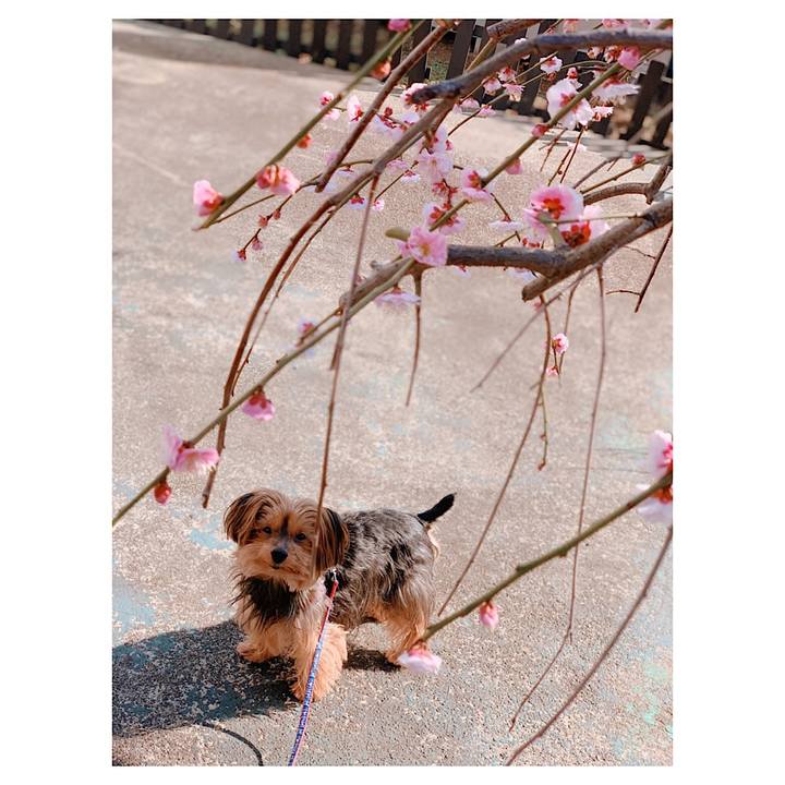 94aa6da5 df07 4e92 b974 5876fd14db12 1550969783262