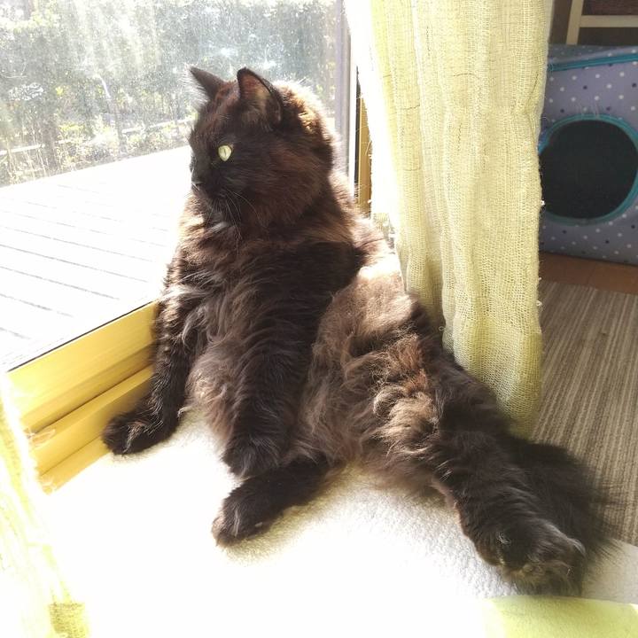 94aa8e52 074a 4e84 b807 42cd0f5d8127 1585977220567