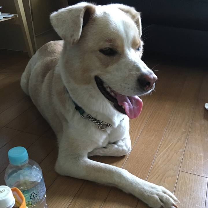 94aa9266 cabf 4dca 8d2d 4ec26b803a5e 1534720460885