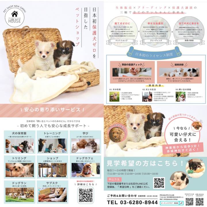 94aae7e3 a49f 43aa bedd d591589c9c83 1652506076575