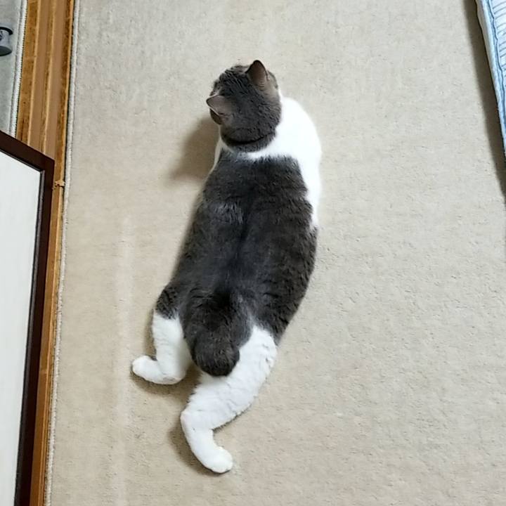 94ab1120 8043 48e8 802b 05ac93a8ece3 1567988181735