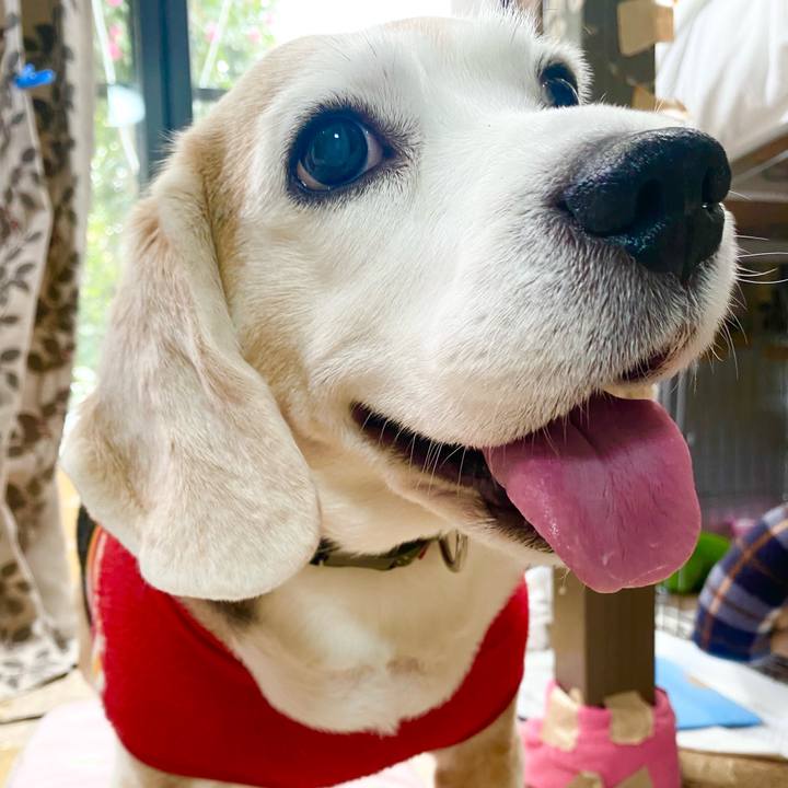 94ab1d83 110b 47b0 b6c1 d6a5d6136160 1647491181295