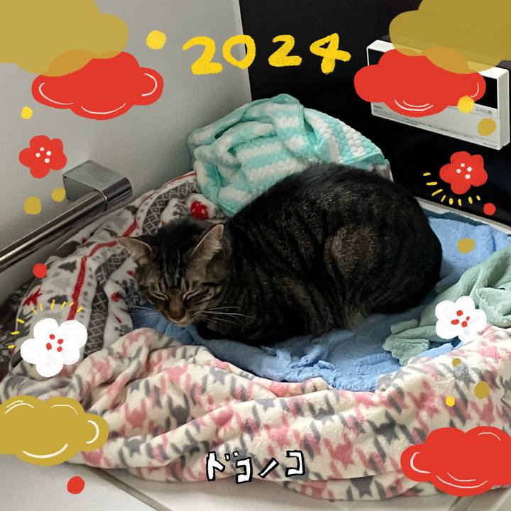 94ab2116 37ad 46ed b577 3ee7877bf3ba 1704075073593