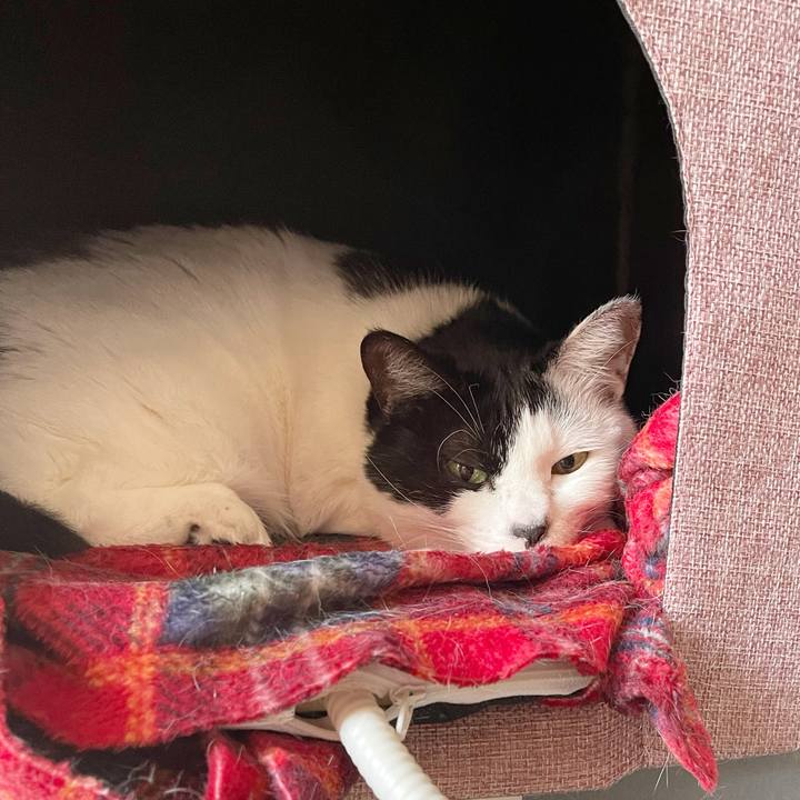 94ab3062 361b 4ccc a2d7 75506f819761 1769313111422