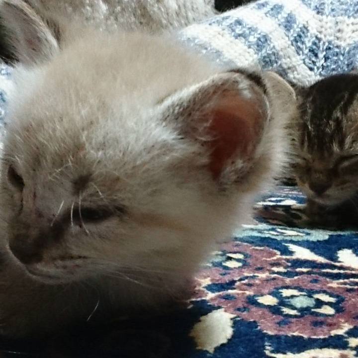 94ab5750 8ea0 441c bc01 7ee75c7a483a 1571316104078