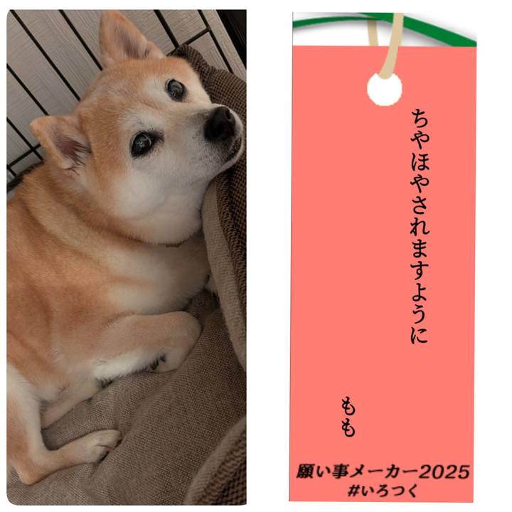 94ab59f4 7595 402e a633 24c9389609d0 1751886121919