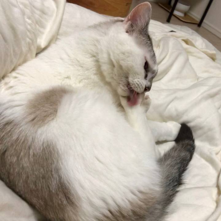 94ab9cab a0aa 463f bb56 91016ce72353 1530810337204