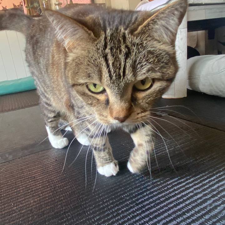 94aba0c1 b232 4f96 a3b7 8bd879e456a0 1588381344590