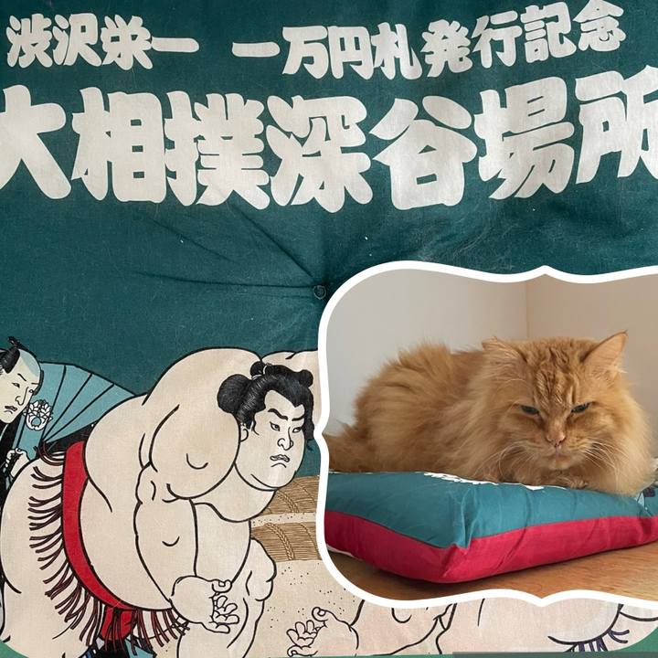 94abc59d 08cf 423b bafd a6ec1ea73e8e 1743453754242