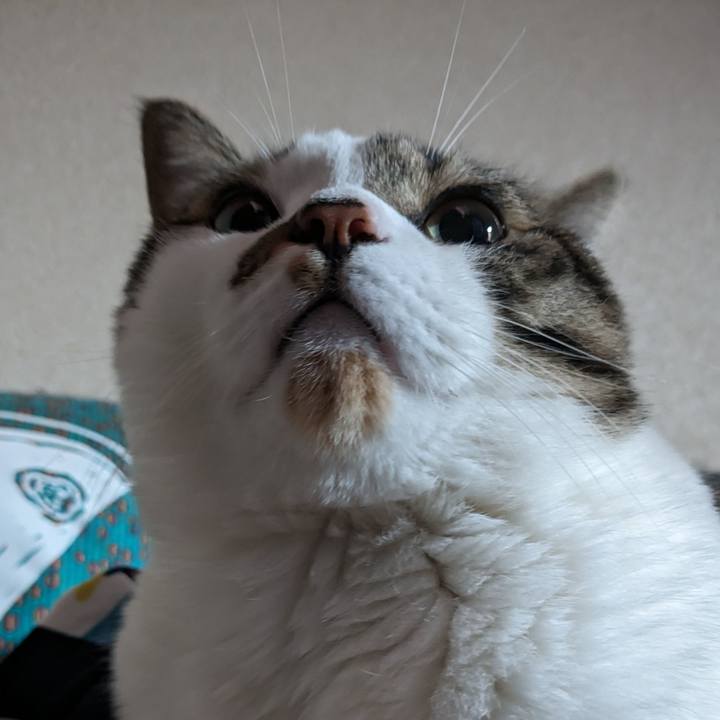 94abc964 facd 4223 9b03 d06a20cdac7b 1691284288253