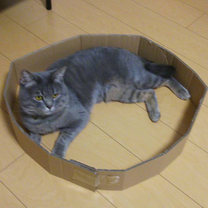 94abd0a6 5363 4028 921f e785a180829f 1553593446131