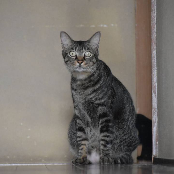 94ac0a36 e421 4628 a8cf 68b0a3cf576b 1570155382910