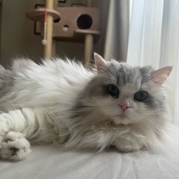 94ac1a41 f9f6 47fb b0e7 c21cae21fe7f 1734788291269