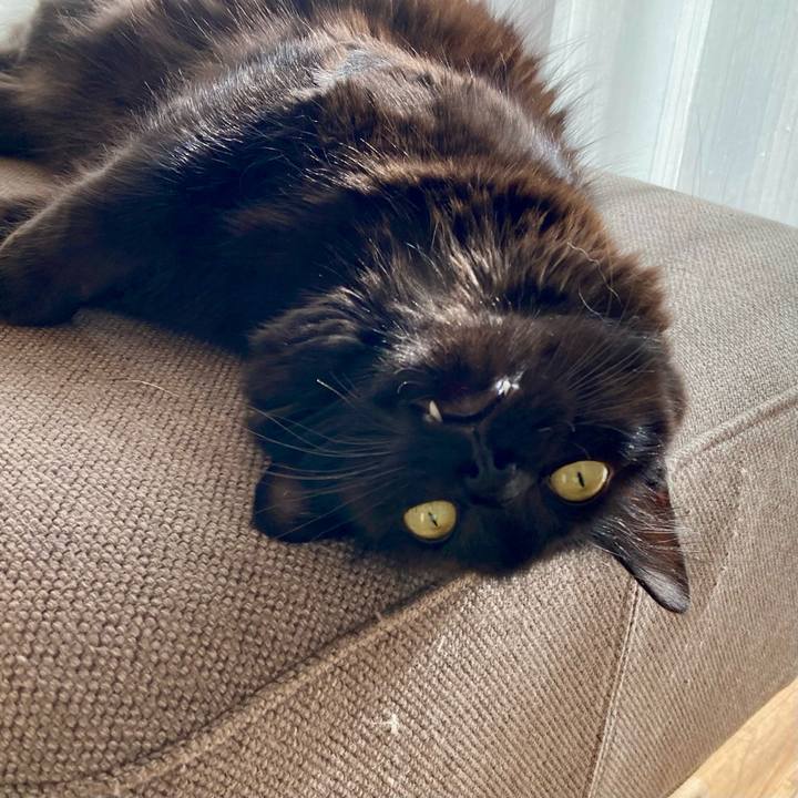 94ac21ad 34bb 4100 a72a c20eefec971f 1733113674386