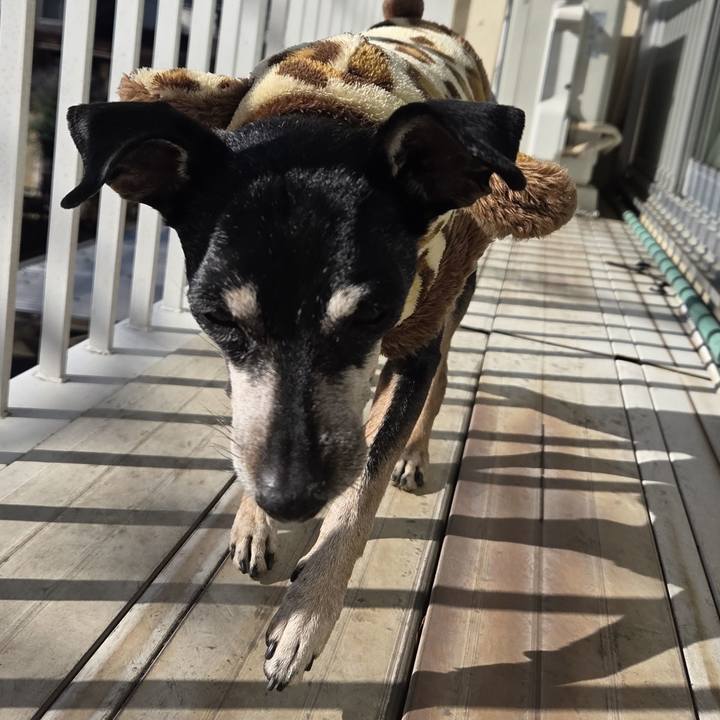 94ac2293 02ec 4a8d b5d0 b51dad6f0bec 1768276529910