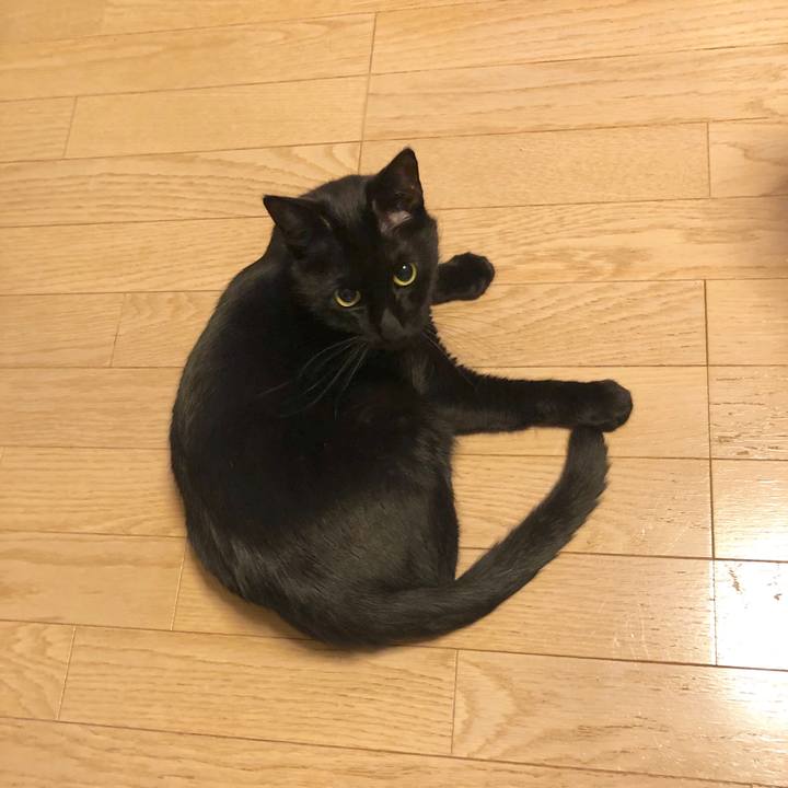 94ac47c6 1ac8 45c9 b0d5 4dcbe9b298c3 1581860493763