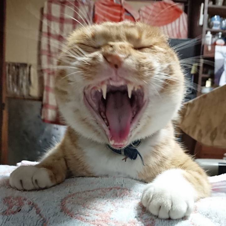 94ac9621 9747 4f8c b841 2b6f888c05af 1606632754120