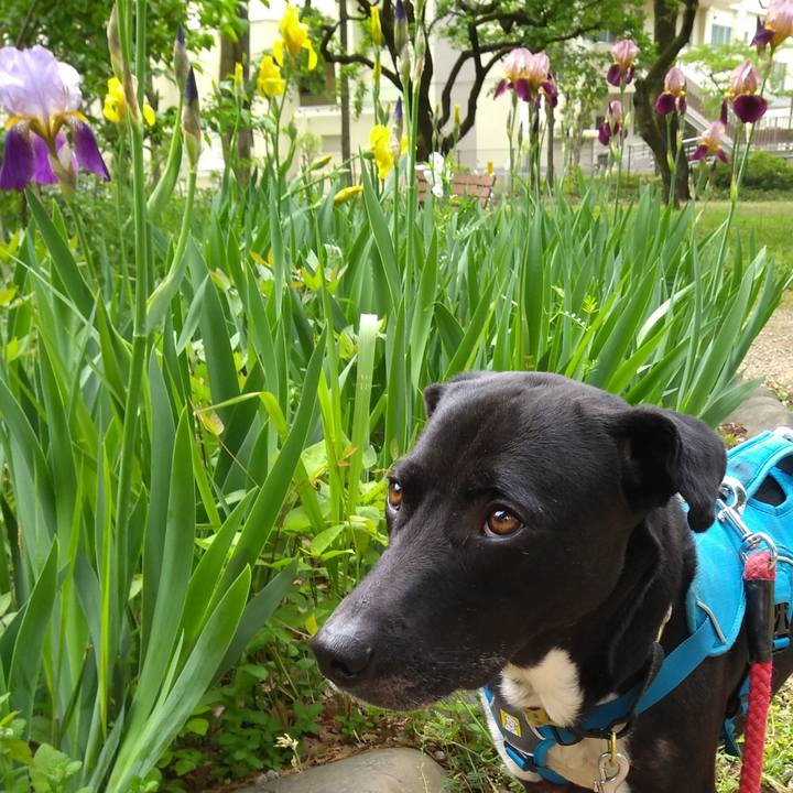 94acb68c 40f4 46f3 975e d3de90e6727c 1619311361575