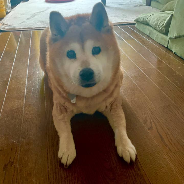 94acb8b0 499d 43c5 a93a a3341971675e 1595151039398