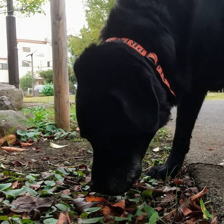 94accaa5 b25e 4d5b 9fb1 239a0761b4af 1698448350841