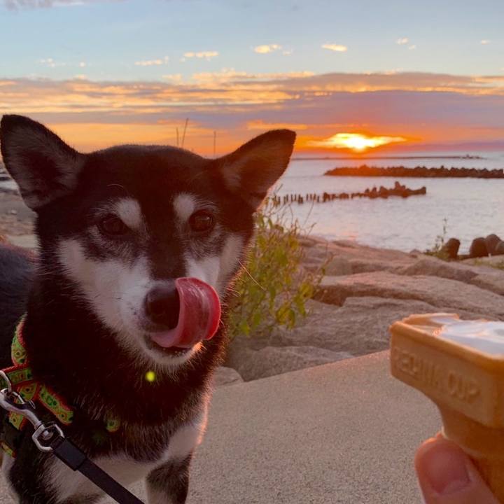 94accf5a 1e60 4eb1 9cdc 243bca1bfe5e 1599959640055