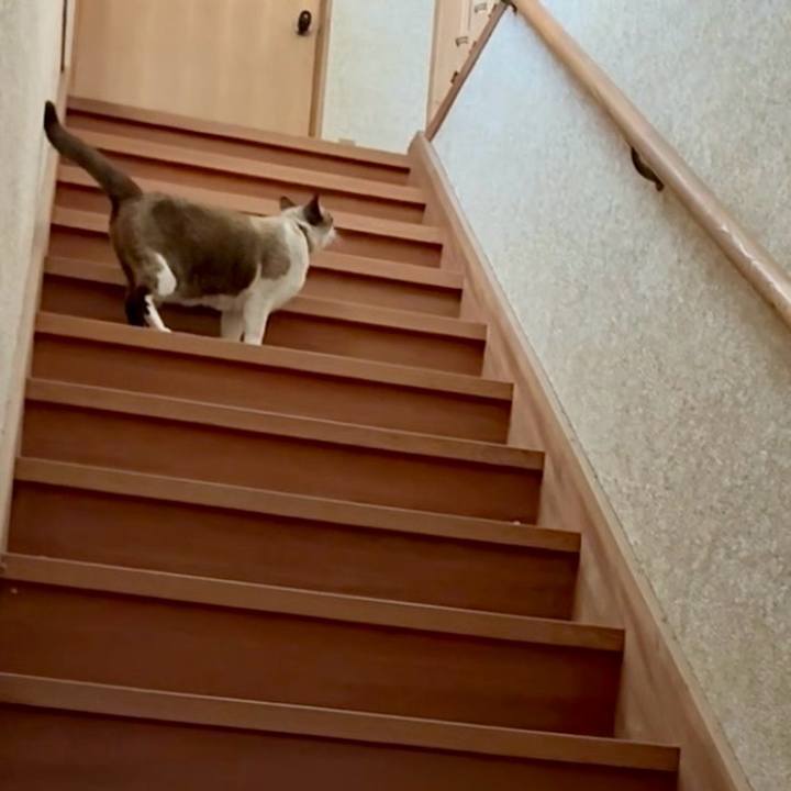 94ace7df b366 41bc 9d44 d951c12f9994 1771598328614