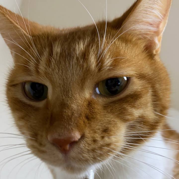 94acfcc6 97d7 4f27 a252 f9121b0bc8a5 1605335067900